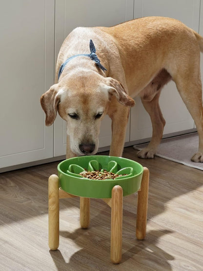LE TAUCI Dog Bowls Slow Feeder Ceramic, 1.5 Cup Slow Feeding Bowl for Small and Medium Breed, Puzzle Dog Food Bowl for Fast Eater, Maze Purple