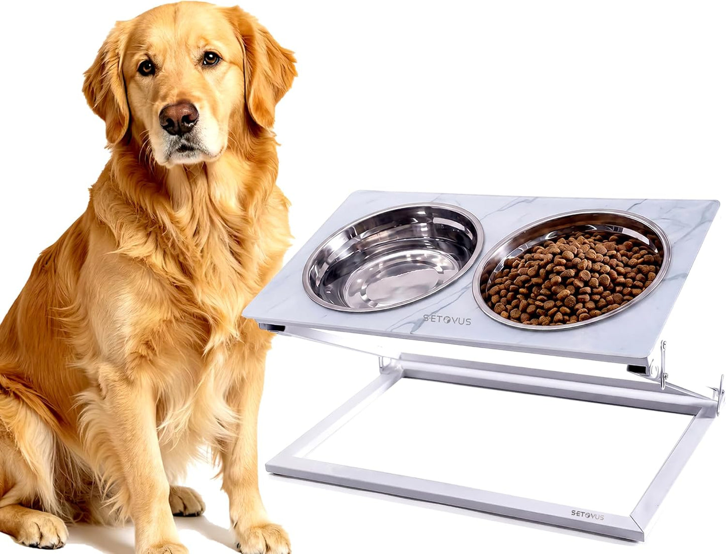 Elevated Dog Bowls, Adjustable Raised Dog Bowl Stand with 2 Stainless Steel Food Bowls 20°Tilted Water Bowls for Medium Small Sized Dogs (Black, Medium)