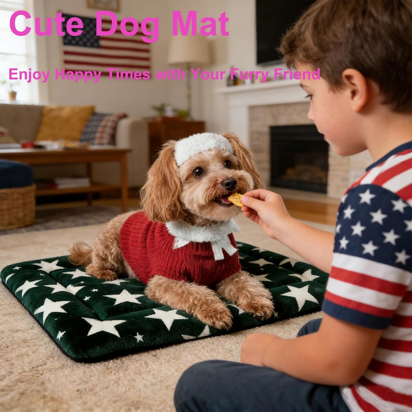 Dog Bed Mat, Reversible Crate Pad & Cute Dog Bed - Machine Washable Kennel Mat with Ultra Soft for Small Dogs (Cool/Warm), 24" x 18", Grey&Star