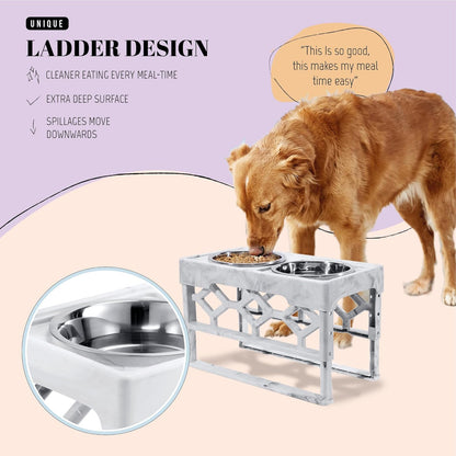 AVERYDAY Elevated Dog Bowls, 4 Height Adjustable Stand for Medium and Large Dogs, Raised Dog Feeder Holder with 2 Stainless Steel Food and Water Bowls, Anti-Slip Base Tall Feeding Station