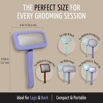 Tauro Pro Line Slicker Brush for Dogs & Cats, Deshedding, Dematting & Detangling Grooming Tool for Medium to Long Coats, Ideal for Doodles & Poodles, Flexible Cushion, Purple, Medium Size (M)