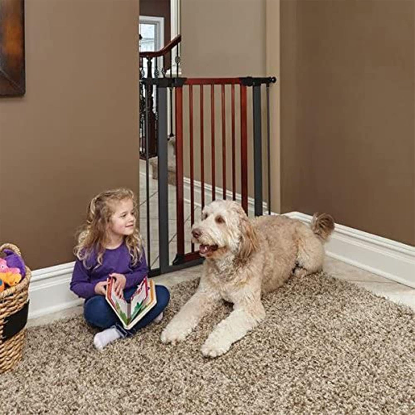 MidWest Homes for Pets 39-Inch High Walk-Thru Pressure Mounted Steel Dog Gate, Expands to 38 Inches Wide, Includes 3-inch Extensions, Textured Graphite