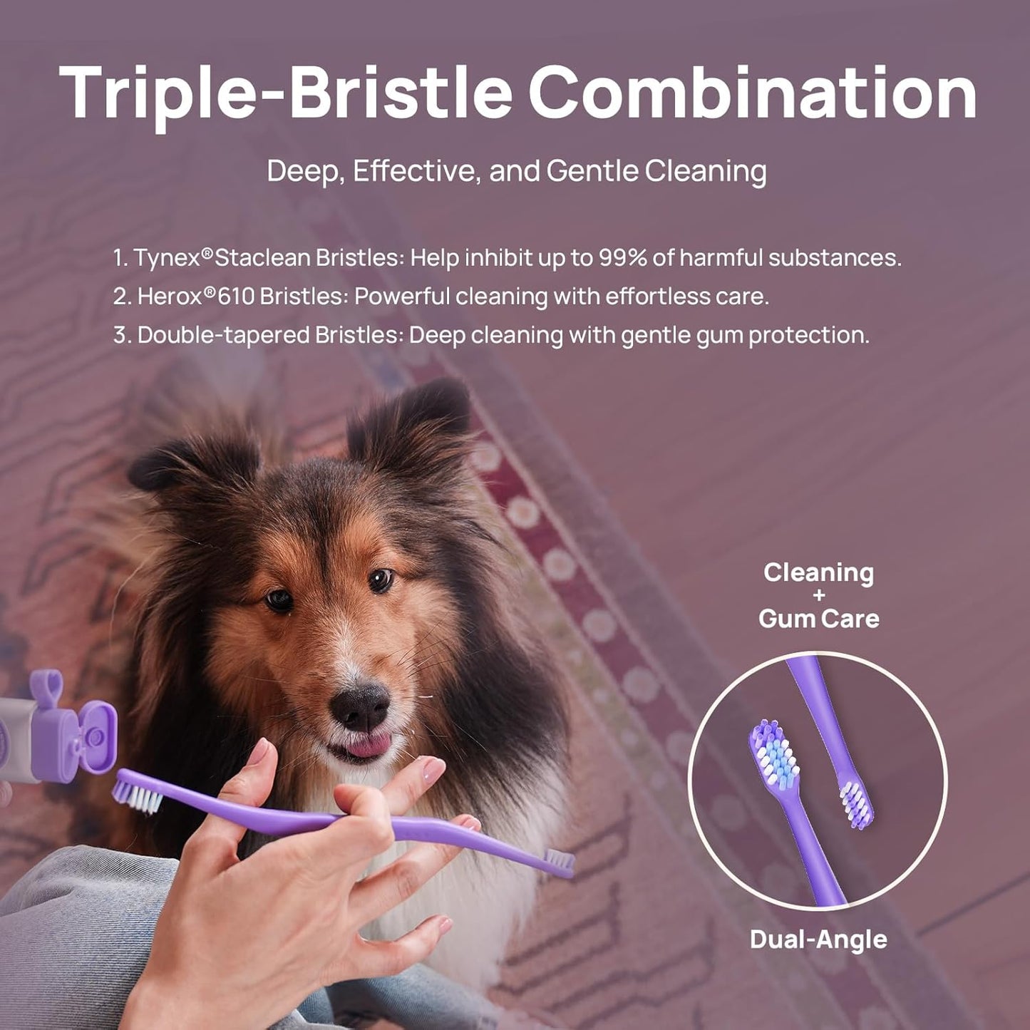 HICC PET Toothbrush for Cats & Small Dogs, Vet-Recommended Ergonomic Pet Toothbrush for Easy Teeth Cleaning, Gentle on Gums, Cat & Dog Dental Care, Improves Oral Hygiene. Toothpaste Not Included