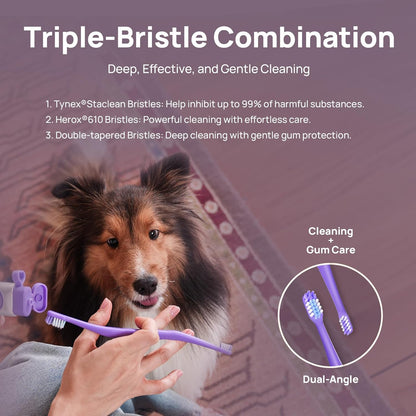 HICC PET Toothbrush for Cats & Small Dogs, Vet-Recommended Ergonomic Pet Toothbrush for Easy Teeth Cleaning, Gentle on Gums, Cat & Dog Dental Care, Improves Oral Hygiene. Toothpaste Not Included