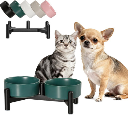 Raised Ceramic Dog Bowl Set - Elevated Double Dishes with Stainless Steel Stand - Food and Water Bowls for Small to Medium Dogs - Each Holds 3.5 Cups (29.57 fl oz) - White