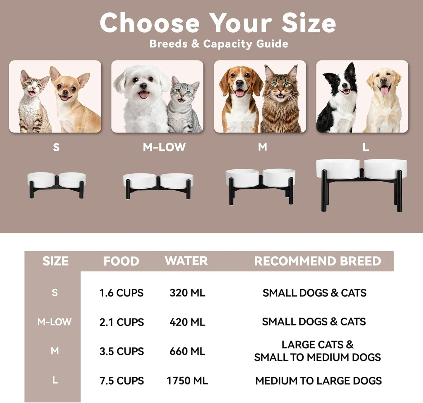 Raised Ceramic Dog Bowl Set - Elevated Double Dishes with Stainless Steel Stand - Food and Water Bowls for Small to Medium Dogs - Each Holds 3.5 Cups (29.57 fl oz) - White