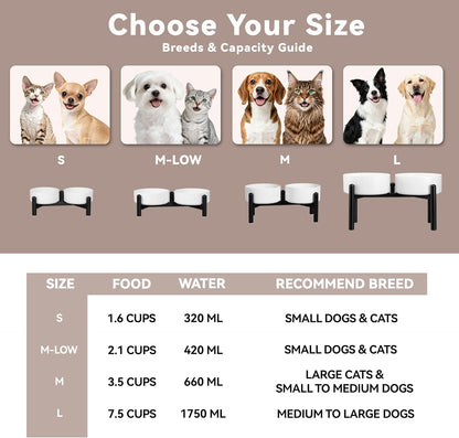 Raised Ceramic Dog Bowl Set - Elevated Double Dishes with Stainless Steel Stand - Food and Water Bowls for Small to Medium Dogs - Each Holds 3.5 Cups (29.57 fl oz) - White