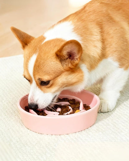 TRUVIC Ceramic Slow Feeder Dog Bowls Small Breed, 0.6 Cup Slow Feeder Cat Bowls for Fast Eaters, Ceramic Dog Food Dish no Black Chin, Puzzle Bowl for Small Dogs and Cats, White