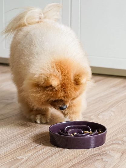 LE TAUCI Dog Bowls Slow Feeder Ceramic, 1.5 Cup Slow Feeding Bowl for Small and Medium Breed, Puzzle Dog Food Bowl for Fast Eater, Maze Purple