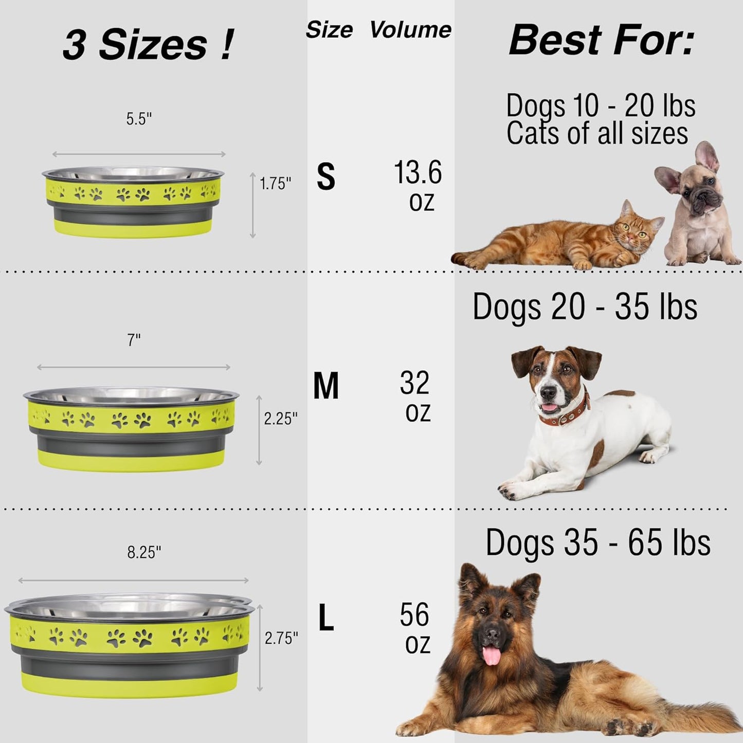 Loving Pets Corsa Dog Bowls- Stainless Steel Dog & Cat Bowls - Spill Proof Dog Food Bowl, Cat Bowl, Puppy Essentials & Pet Supplies Great for Home & Travel (Small 10-20 lbs, Rapid Blue)