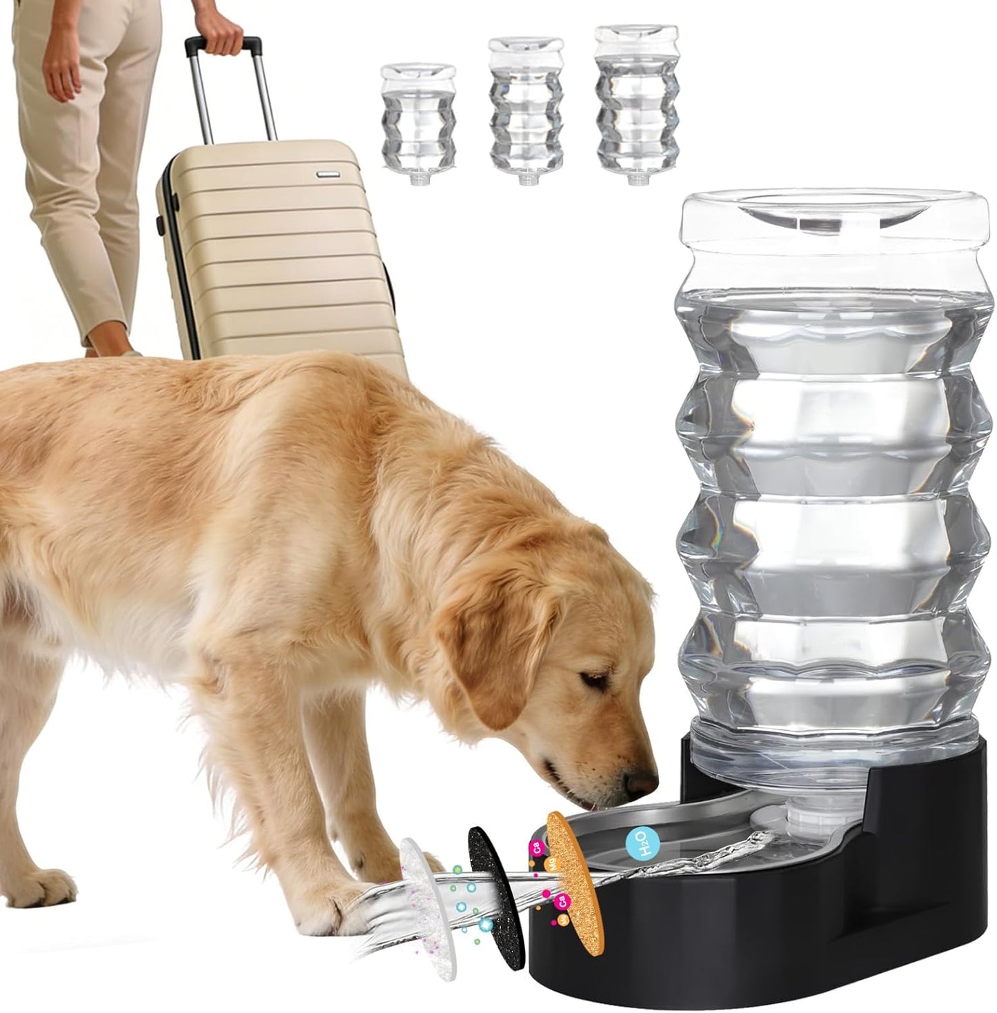 RIZZARI 8L Elevated Pet Water Dispenser – Stainless Steel Gravity Waterer with Auto-Refill Design for Medium and Large Dogs & Senior Pets -Comfortable Drinking Height for Living Rooms,Multi-Pet Homes