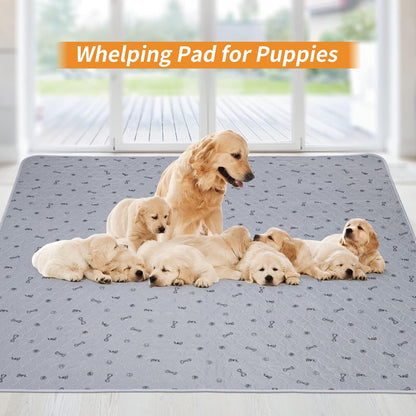 Washable Pee Pads for Dogs, 2Pack Reusable Puppy Pads, Absorbent Whelping Pads with Bone Print, Non-Slip Waterproof Pet Training Pads for Couch, Crate, Potty Training 18x24