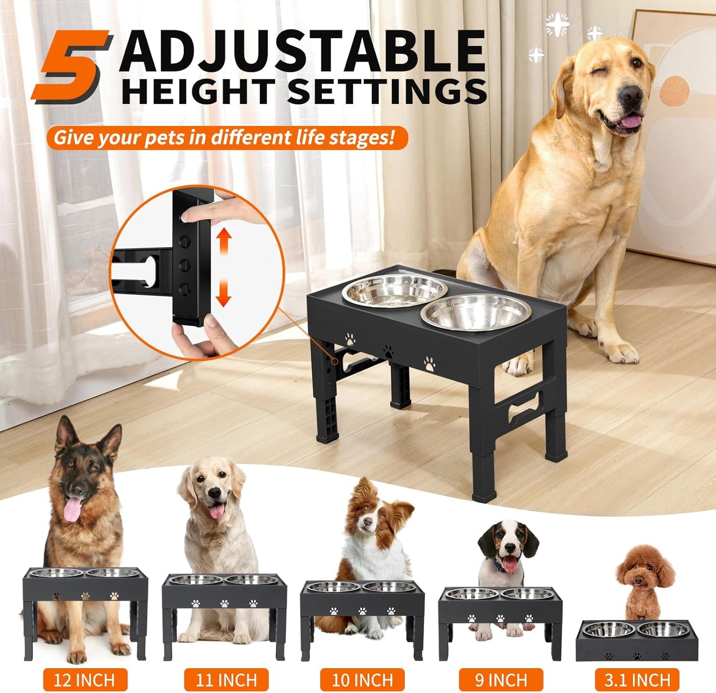 Elevated Dog Bowls with 2 Stainless Steel Bowls, 5-Height Adjustable Stand (3.1", 9" to 12"), for Improved Digestion & Neck Support, Easy Clean, Non-Slip Base Raised Feeder for Medium Large Dogs