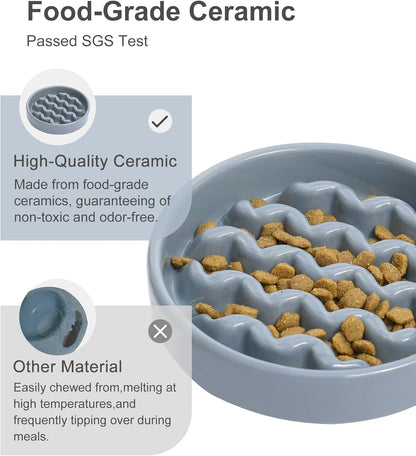 Ceramic Slow Feeder Dog Bowl, Maze Puzzle Non-Slip Silicone Base Stoneware Bowl for Small Medium Dogs, Heavy Duty Anti-Bloat Dog Food Bowl Dishwasher Safe – Apricot, Medium