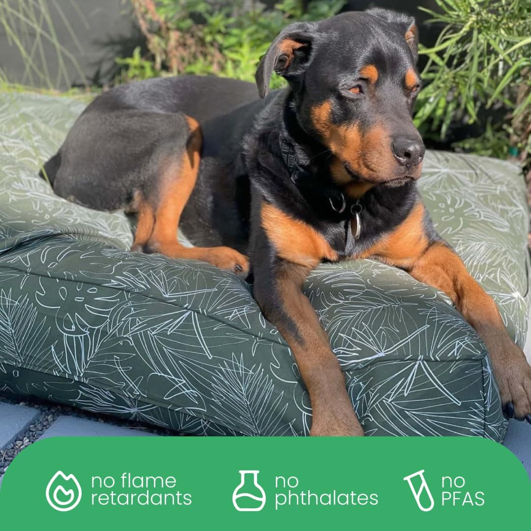 Molly Mutt Medium to Large Dog Bed Cover- Forever Young Print - Measures 27”X36”X5’’ - 100% Cotton - Durable - Breathable - Sustainable - Machine Washable Dog Bed Cover (Dd82b)