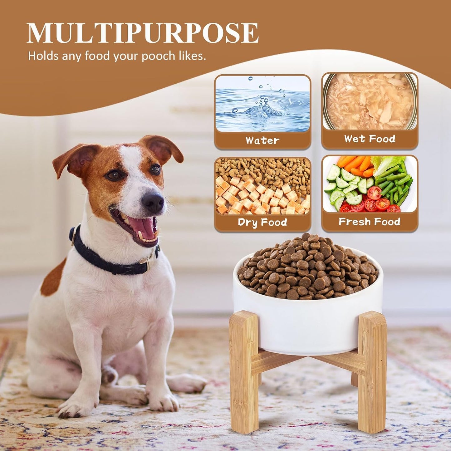 Elevated Ceramic Cat Bowl - Cat Food Bowl with Bamboo Stand - Raised Dog Dish for Puppies - Anti Vomiting, Stress Free - 13.5 oz / 400 ml - White