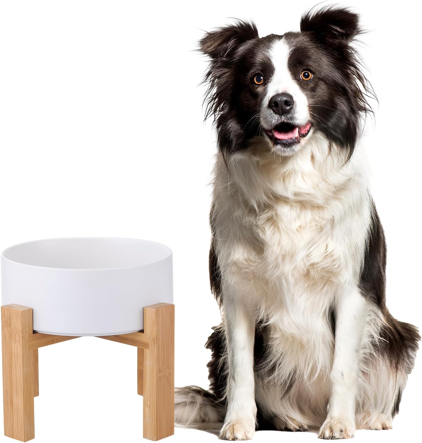 Elevated Ceramic Cat Bowl - Cat Food Bowl with Bamboo Stand - Raised Dog Dish for Puppies - Anti Vomiting, Stress Free - 13.5 oz / 400 ml - White