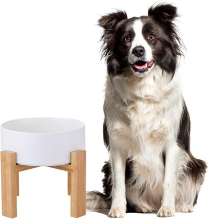 Elevated Ceramic Cat Bowl - Cat Food Bowl with Bamboo Stand - Raised Dog Dish for Puppies - Anti Vomiting, Stress Free - 13.5 oz / 400 ml - White