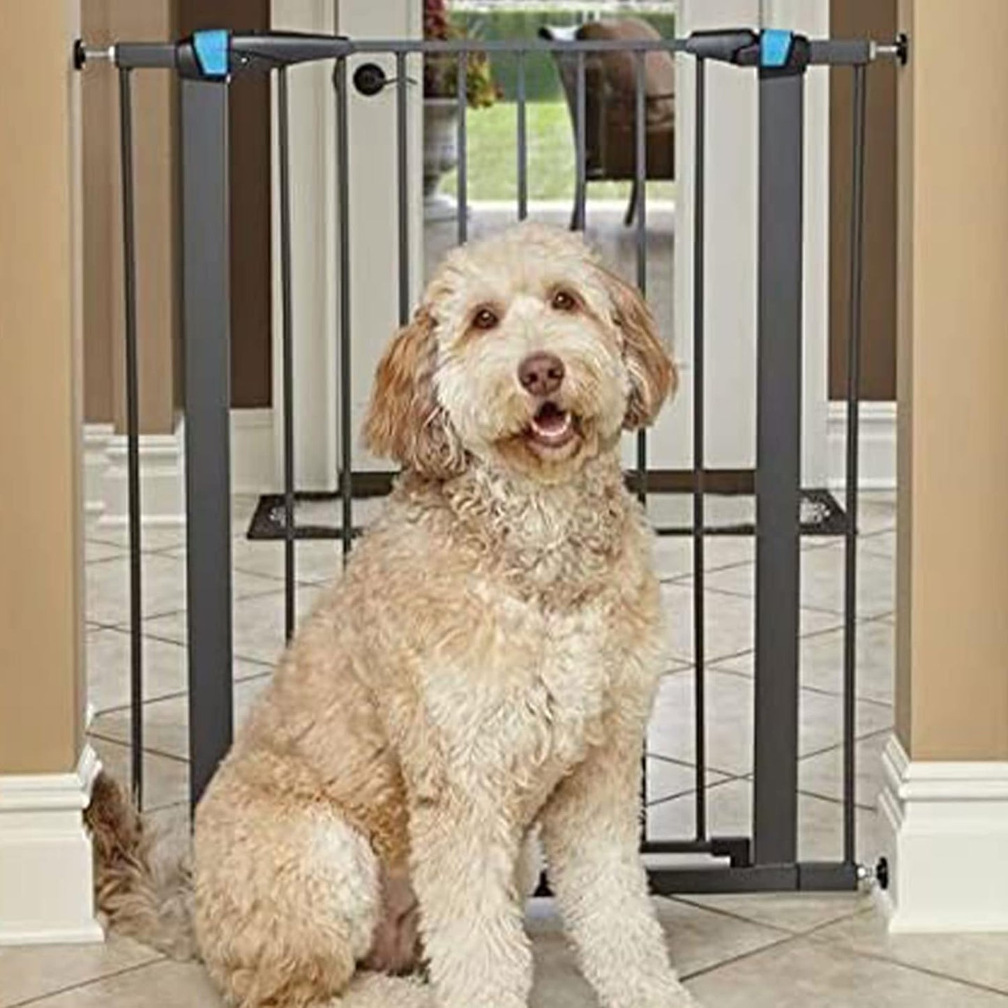 MidWest Homes for Pets 39 Inches Tall Walk-Though Steel Pet Gate, Pressure Mounted Dog Gatewith Glow Strip Measures 29-38 Inches Wide & Includes Two 3-Inch-Wide Extensions, Graphite