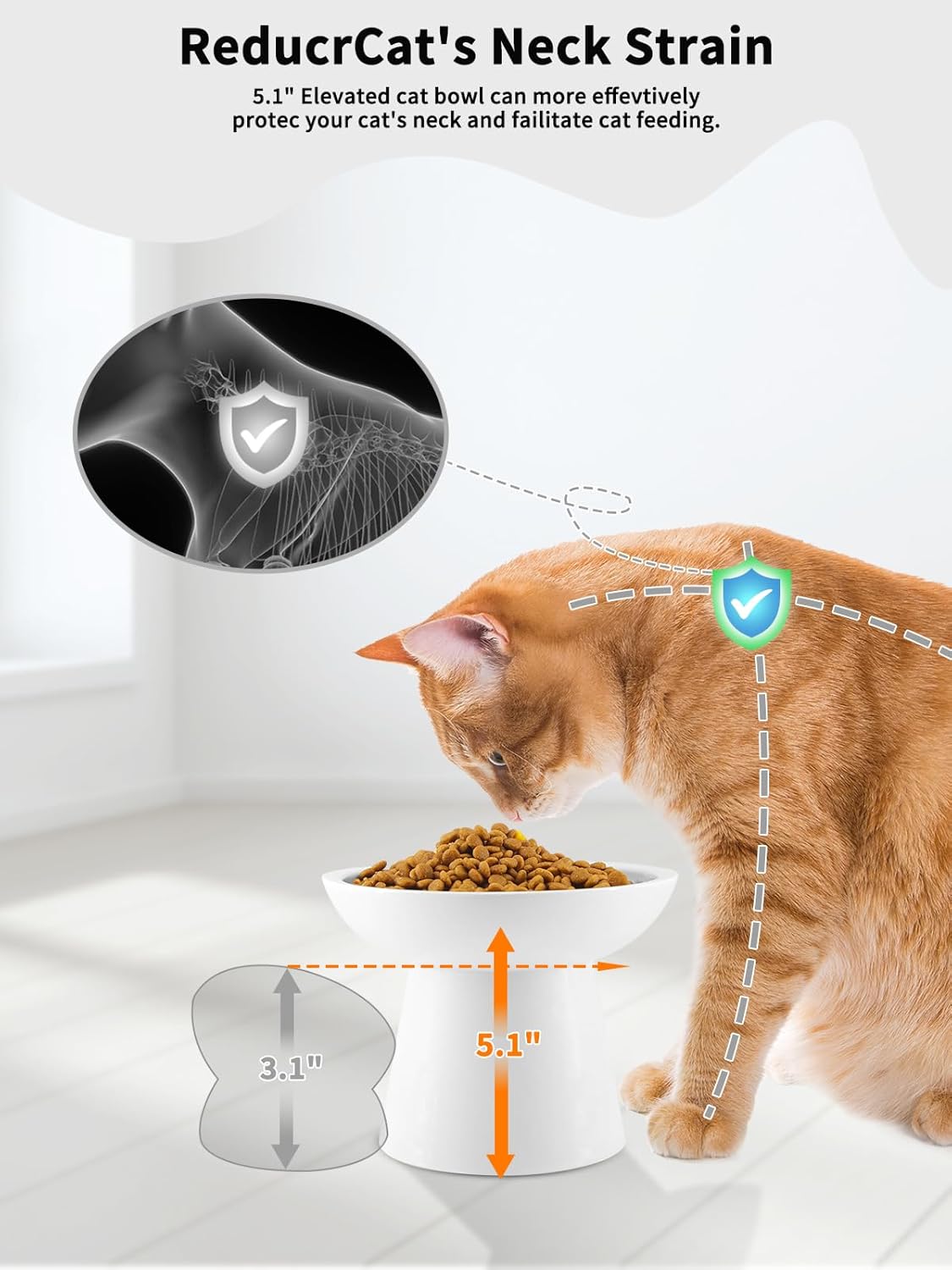LoeJan Elevated Cat Food and Water Bowls Set, Extra Wide and Raised Ceramic Bowls, Anti-Vomit Whisker-Free Pressure Cat Feeder for Kittens to Adult Cats and Small Dogs (White, Water Bowl)