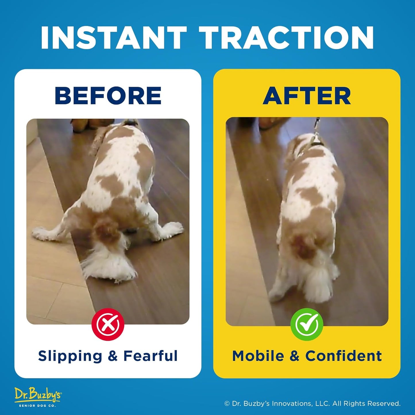 Dr Buzby's Large ToeGrips for Dogs - Instant Traction on Wood/Hardwood Floors - Anti Slip Relief - Grippers for Senior Dogs - Stop Sliding Instantly - Rubber Nails for Paws - 1 Pack (20 Grips)