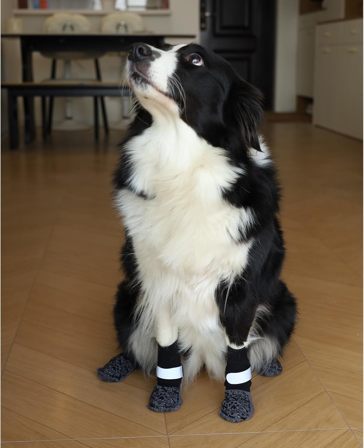 Dog Socks to Prevent Licking Paws, Anti Slip Dog Boots & Paw Protectors for Hardwood Floors, Toe Grips for Small Medium Large Senior Dogs, Dog Shoes for Hot/Cold Pavement(Blue Bone,L)