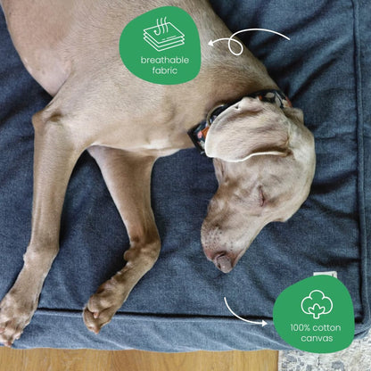Molly Mutt Medium to Large Dog Bed Cover- Forever Young Print - Measures 27”X36”X5’’ - 100% Cotton - Durable - Breathable - Sustainable - Machine Washable Dog Bed Cover (Dd82b)