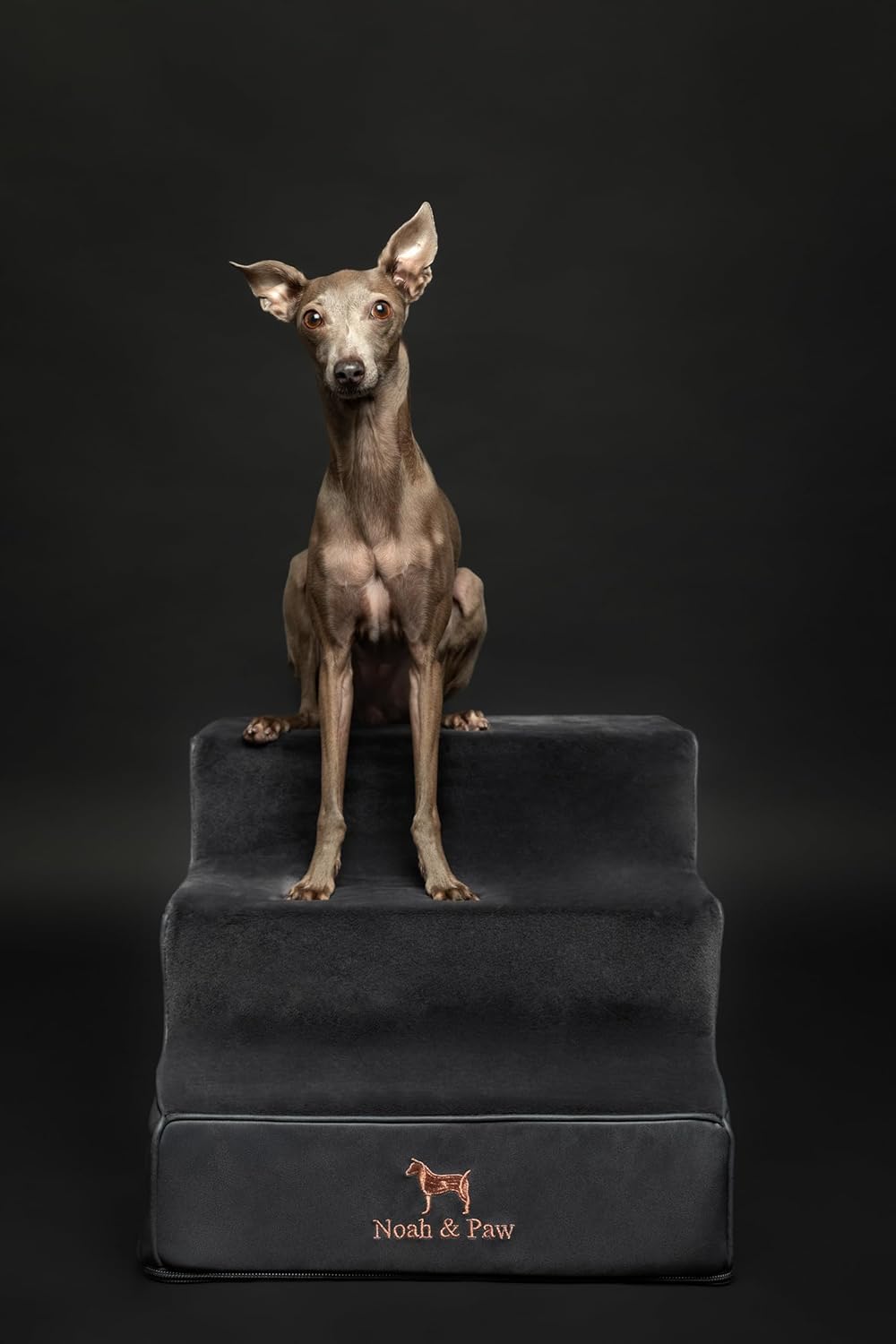 Noah & Paw Dog Stairs, Dog Ramp for Bed (20" Extra Wide) Pet Stairs for High Bed, Design to Fit Small and Large Breeds, Durable 5 Pet Steps for Couch (35 Foam Density) Leather Collection