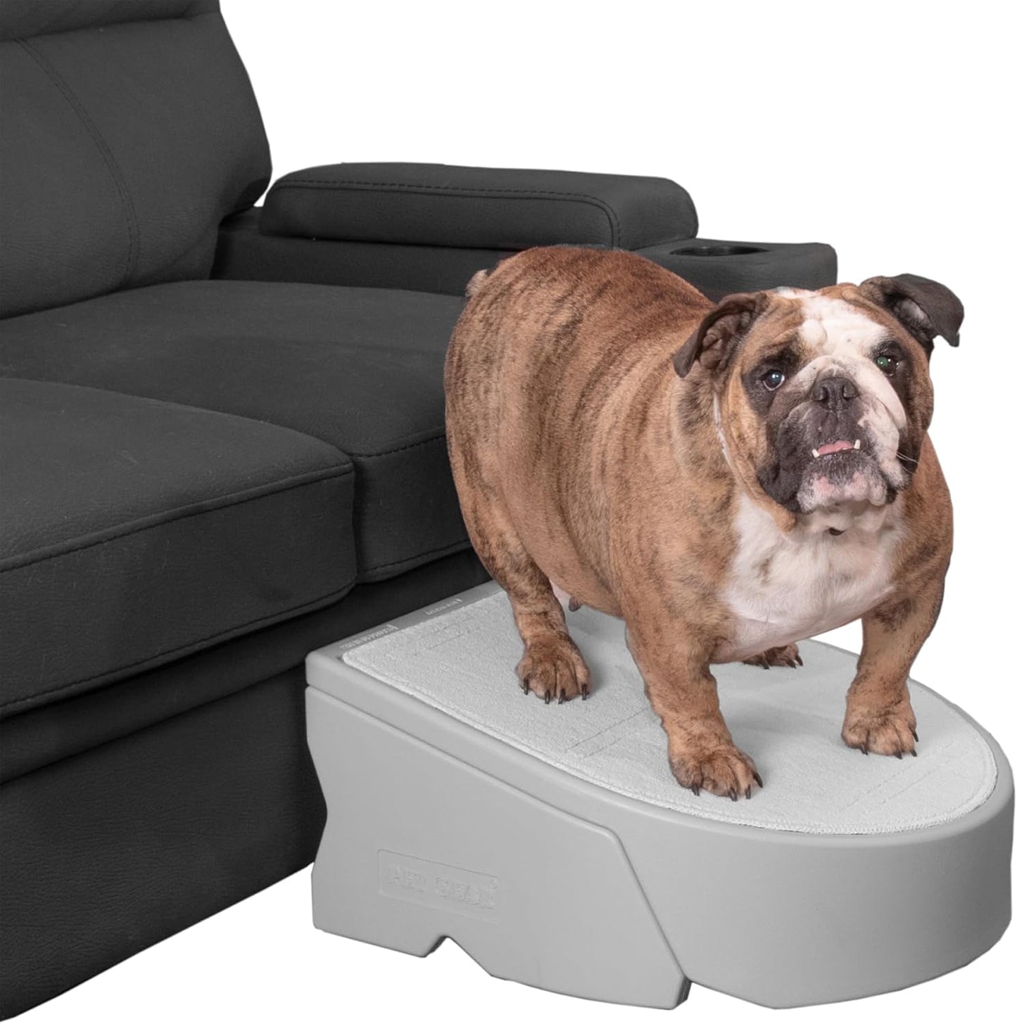 Pet Gear Stramp Stair and Ramp Combination for Dogs/Cats, Easy Step, Lightweight/Portable, Sturdy, Easy Assembly (No Tools Required), Dark Brown
