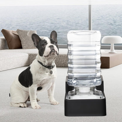 RIZZARI 10L Stainless Steel Dog Water Dispenser – Large Capacity Gravity Auto-Refill Waterer with Anti-Tip Design for Large Dogs, Ideal for Living Rooms, Offices & Indoor Pet Spaces