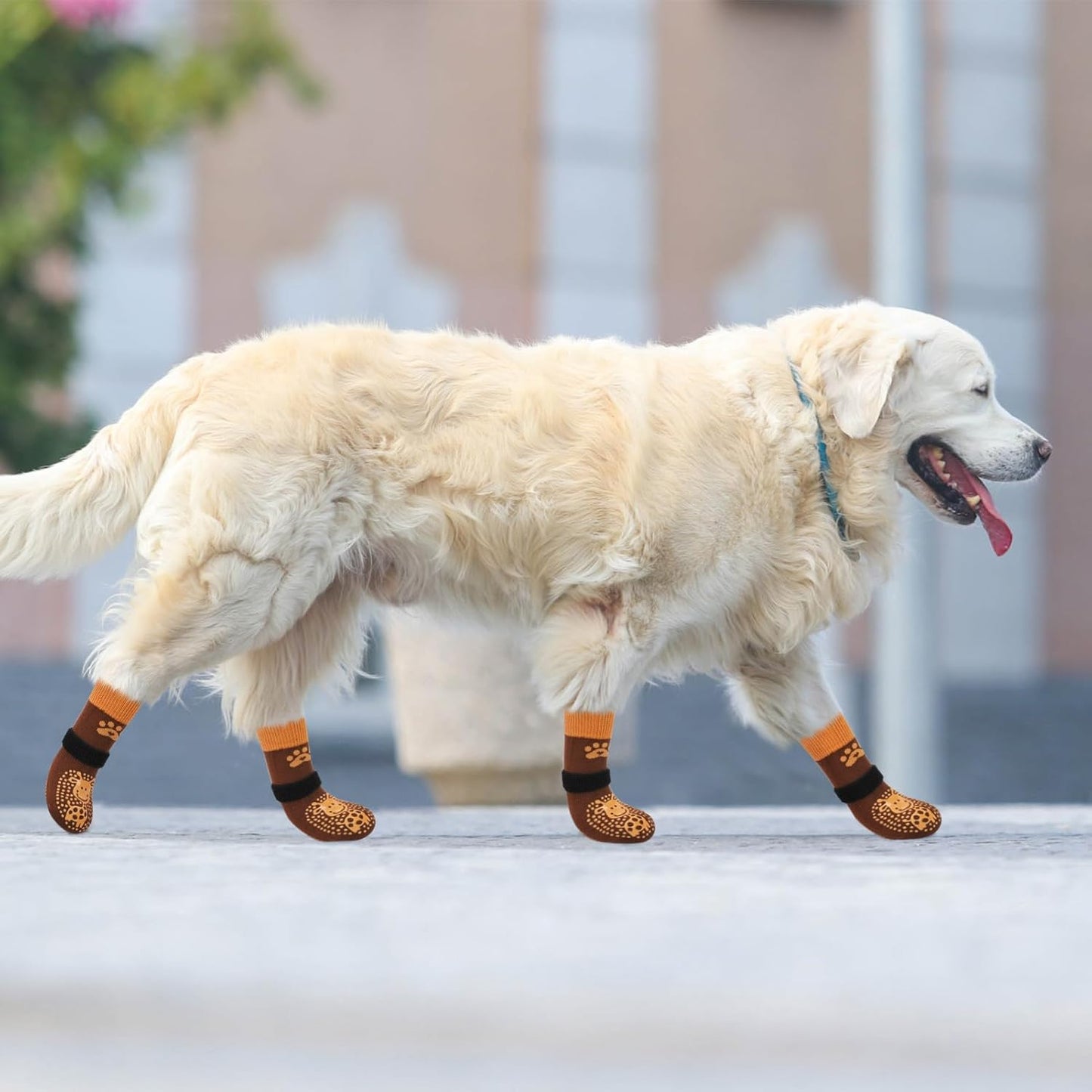 SCENEREAL 6Pcs Anti Slip Dog Socks to Prevent Licking Paws for Hot/Cold Pavement, Dog Grippy Socks for Hardwood Floors, Dog Shoes for Boots & Paw Protectors for Puppy Small Medium Large Senior Dogs