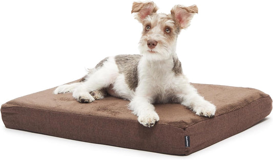 Barkbox Orthopedic Dog Bed with Memory Foam, Premium Comfort for Dogs and Puppies, Large Sized Dog Bed for Joint Relief and Restful Sleep, Durable and Easy to Clean - Grey, Large