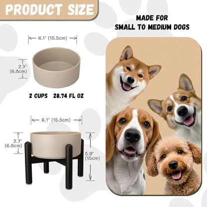 Raised Ceramic Dog Bowl Set - Elevated Double Dishes with Stainless Steel Stand - Food and Water Bowls for Small to Medium Dogs - Each Holds 3.5 Cups (29.57 fl oz) - White