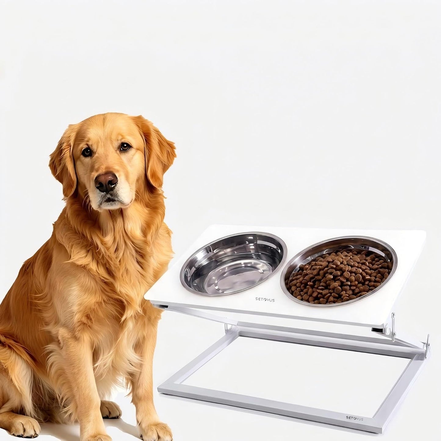 Elevated Dog Bowls, Adjustable Raised Dog Bowl Stand with 2 Stainless Steel Food Bowls 20°Tilted Water Bowls for Medium Small Sized Dogs (Black, Medium)
