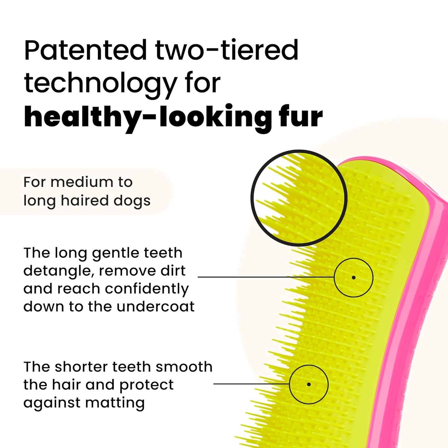 Pet Teezer Detangling Dog Grooming Brush, Dog Bath Brush for Long Haired Breeds and Wet or Dry Fur, Large, Navy & Orange