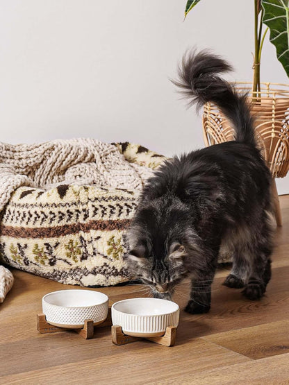 LE TAUCI PET Ceramic Dog and Cat Bowl Set with Acacia Wood Stand - 2 Cup Weighted Non-Slip Food and Water Bowls for Small Dogs & Cats, Lines + Dot