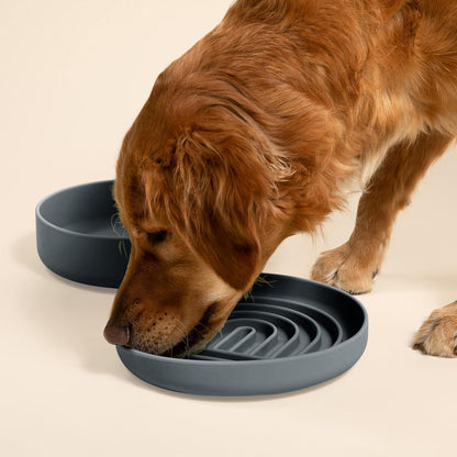 Should We Go? Slow Feeder for Dogs & Puppies, The Slowdown Bowl Silicone Slow Eating, Modern Lick Mat Design, Reduces Gulping, Fits 2 Cups, 7.5” Across x 1.5” Tall, Mealtime Challenge, Medium-Blush