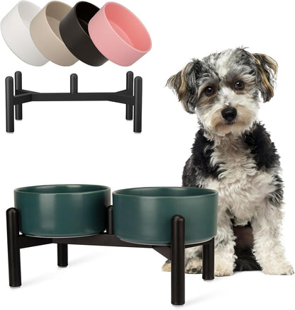 Raised Ceramic Dog Bowl Set - Elevated Double Dishes with Stainless Steel Stand - Food and Water Bowls for Small to Medium Dogs - Each Holds 3.5 Cups (29.57 fl oz) - White