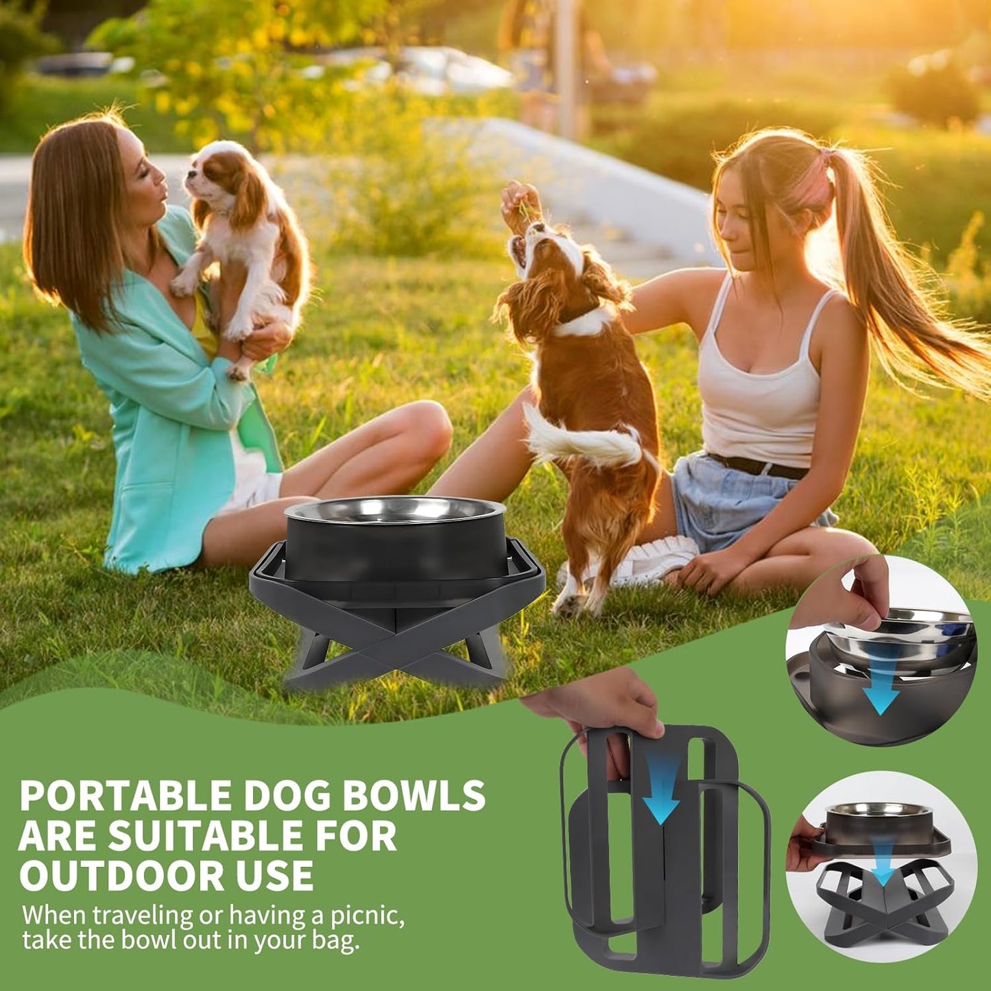 Elevated Dog Bowls, Stainless Steel Raised Dog Bowl with No Spill Dogs Food & Water Bowl for Small Medium Breed, Neater Dogs Feeding Station Non-Slip Water Bowls Set of 2 with Stand for Pet