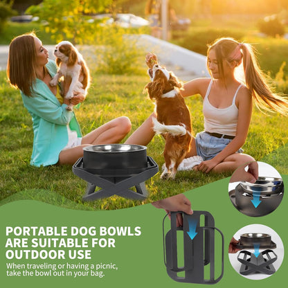 Elevated Dog Bowls, Stainless Steel Raised Dog Bowl with No Spill Dogs Food & Water Bowl for Small Medium Breed, Neater Dogs Feeding Station Non-Slip Water Bowls Set of 2 with Stand for Pet