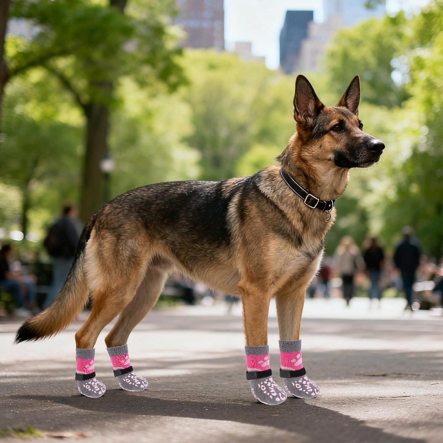 KOOLTAIL Dog Socks Shoes for Hot Pavement to Prevent Licking Paws, Winter Dog Boots&Paw Protector for Hardwood Floors Anti Slip,Traction Control Grip Booties for Small Medium Large Senior Dogs,Black M