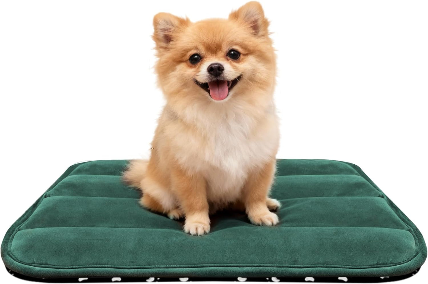 Dog Bed Mat, Reversible Crate Pad & Cute Dog Bed - Machine Washable Kennel Mat with Ultra Soft for Small Dogs (Cool/Warm), 24" x 18", Grey&Star