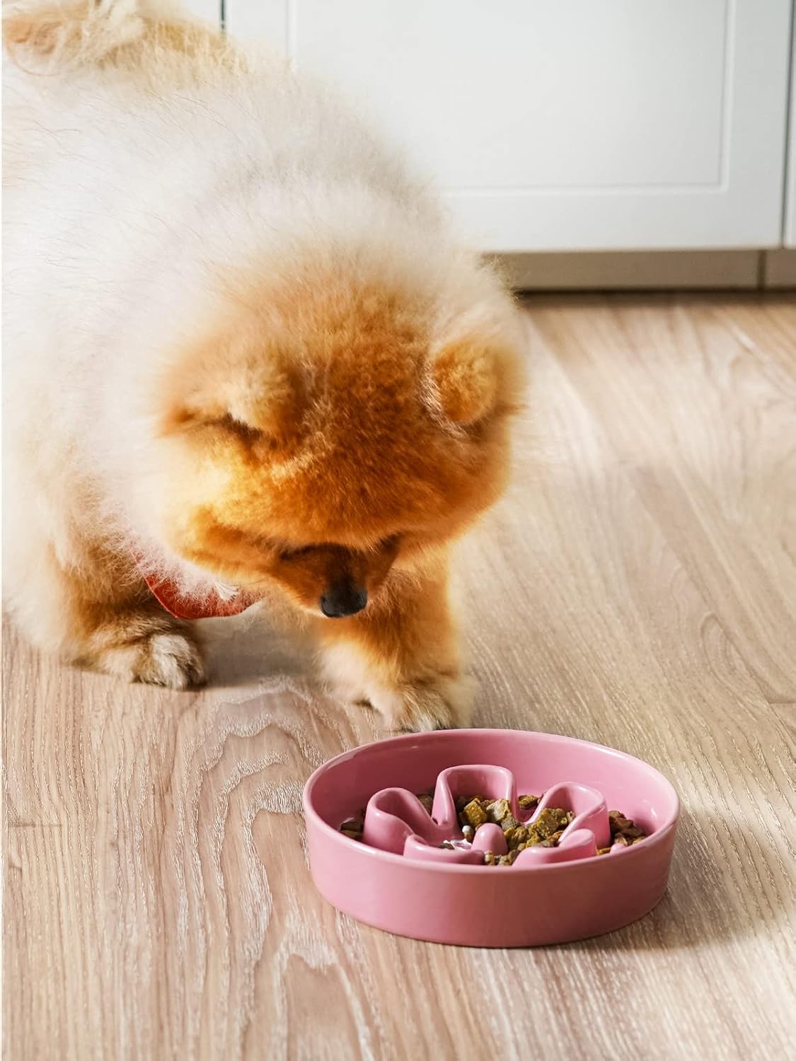 LE TAUCI Dog Bowls Slow Feeder Ceramic, 1.5 Cup Slow Feeding Bowl for Small and Medium Breed, Puzzle Dog Food Bowl for Fast Eater, Maze Purple
