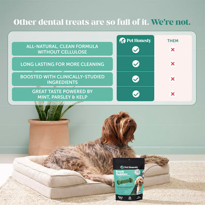 Pet Honesty Brush Buddies All Natural Dog Dental Treats for Dogs – Long Lasting Dental Sticks for Dogs, Teeth Cleaner, Breath Freshener, Plaque & Tartar Remover – Medium Sized Dogs (15 Count)