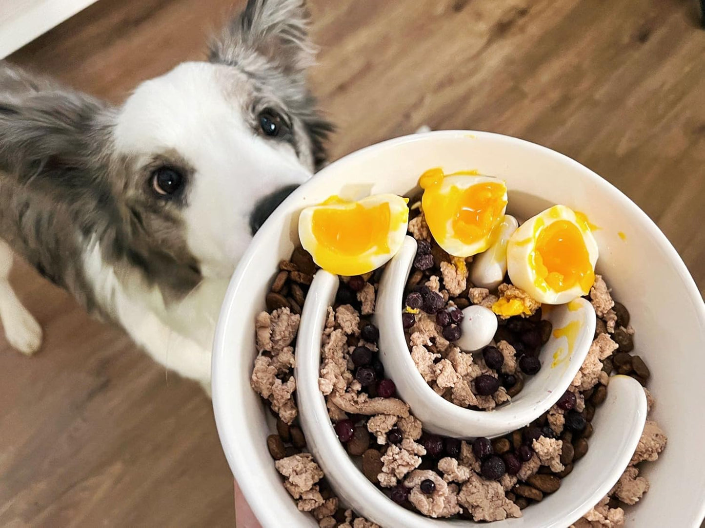 Slow Feeder Dog Bowl - 1.5 Cups Ceramic Puzzle Feeder for Small & Medium Breeds, Maze Design Bowl for Puppy & Fast Eaters, White Pet Dish to Control Eating Speed