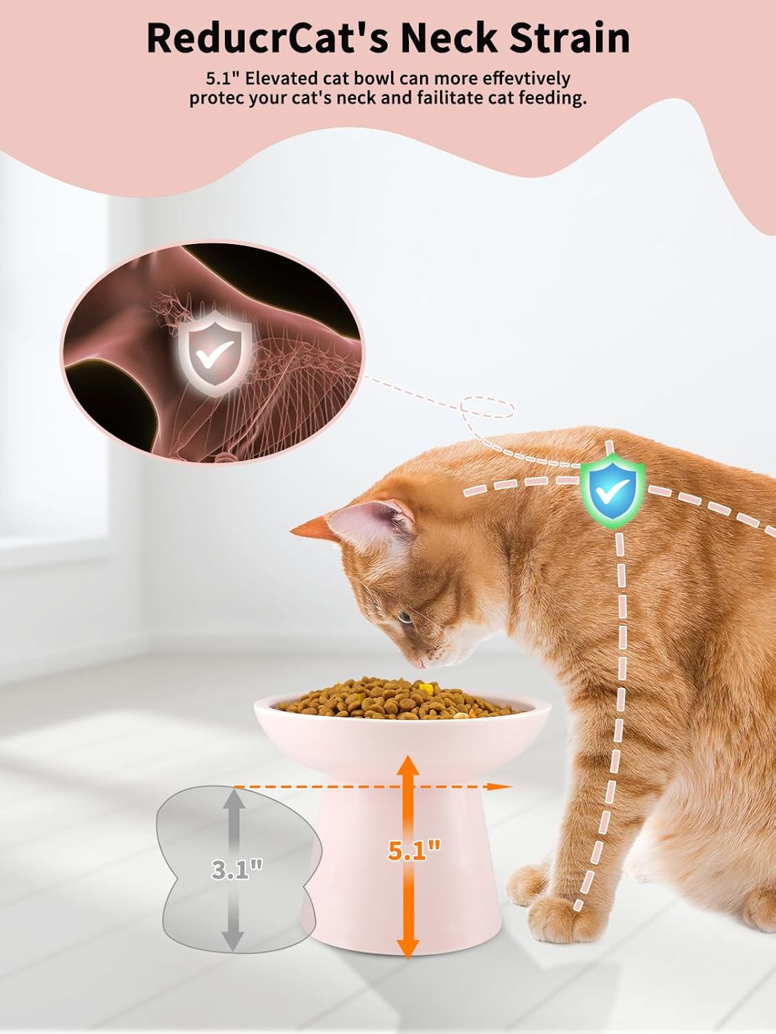 LoeJan Elevated Cat Food and Water Bowls Set, Extra Wide and Raised Ceramic Bowls, Anti-Vomit Whisker-Free Pressure Cat Feeder for Kittens to Adult Cats and Small Dogs (White, Water Bowl)