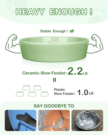 TRUVIC Ceramic Slow Feeder Dog Bowls Small Breed, 0.6 Cup Slow Feeder Cat Bowls for Fast Eaters, Ceramic Dog Food Dish no Black Chin, Puzzle Bowl for Small Dogs and Cats, White