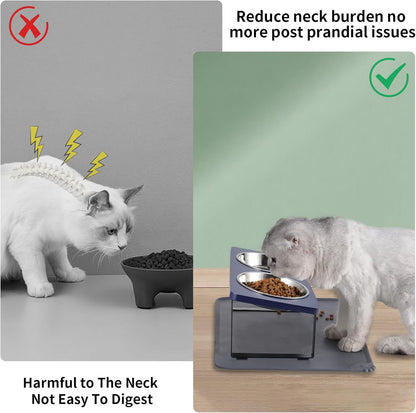 Upgraded Elevated Cat Bowls with Food Mat,15°Tilted Stand Anti Vomiting Raised Cat Dishes for Food and Water,2 Stainless Steel Bowls for Cats and Puppy