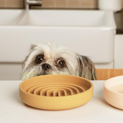 Should We Go? Slow Feeder for Dogs & Puppies, The Slowdown Bowl Silicone Slow Eating, Modern Lick Mat Design, Reduces Gulping, Fits 2 Cups, 7.5” Across x 1.5” Tall, Mealtime Challenge, Medium-Blush