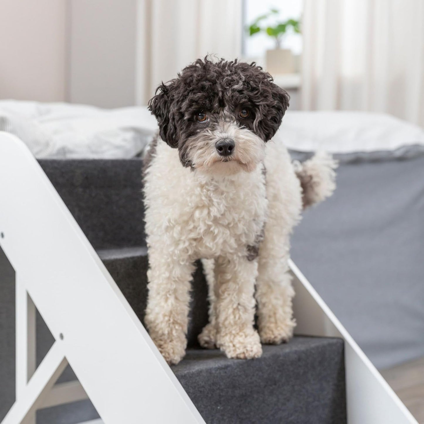 Trixie Wooden Dog Stairs with Nonslip Carpet - 3 Step Pet Stairs for Beds and Couches - with Additional Storage Space - in Natural